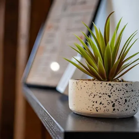 Charming Loft In Prime Location Кошице